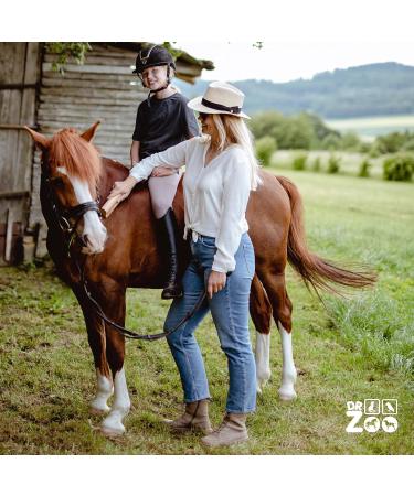 DR Zoo Horse Curry Comb Robbi - Best Coat Change Helper for Horses | Premium Wood Curry Comb for Healthy Coats - Buy Online on SooperMarket.com