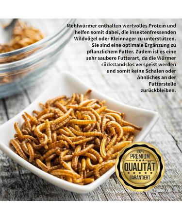Premium 1kg Dried Mealworms - High Protein Flourworms for Reptiles Birds Fish & More | International Shipping Available - Buy Online on SooperMarket.com