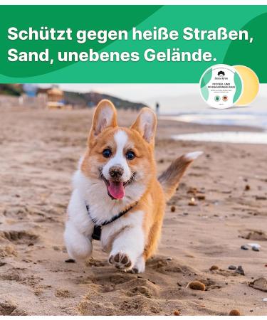 EMMA Gr n Pfotenbalsam 100ml for Dogs & Cats - Natural Paw Care with Propolis & Beeswax | Protect Cracked Paws - Made in Germany - Buy Online on SooperMarket.com
