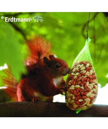 Erdtmanns Squirrel Food in Net - 2 x 0.3 kg | Premium Quality 19.1 x 11.4 x 2.5 cm | International Shipping Available - Buy Online on SooperMarket.com