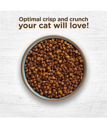 Rachael Ray Nutrish Salmon & Brown Rice Dry Cat Food 3lb - Premium Natural Formula - Buy Online on SooperMarket.com
