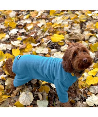 Warm Four Legged Dog Fleece Available in Five Sizes & Three Colours (Teal Medium (Four Legged)) Medium (Four Legged) Teal - Buy Online on SooperMarket.com