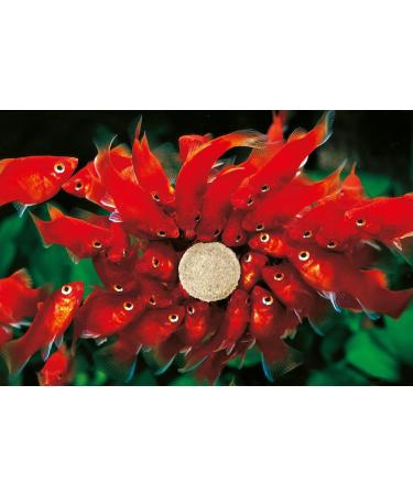 Sera O-Nip Nature 100ml - High-Usability Fish Feed with 7% Krill | Premium Adhesive Tablets for Healthy Aquarium Variety | 60g Pack - Buy Online on SooperMarket.com