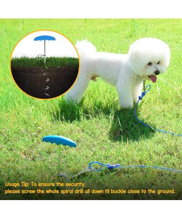 Petphabet Intestepflock Insertspirale - 3m Dog Leash with Floor & Earth Anchor | Teal Tie Out for Outdoor Use - Buy Online on SooperMarket.com