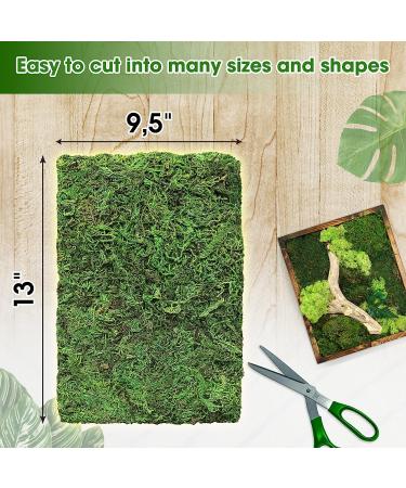 DUSPRO Moss Mat 2Pcs - Self Stick Moss for Crafts & Decor - 13x9.5 Inches - Ideal for Moss Wall Decor & Wedding Party - Green Sheet Moss - Buy Online on SooperMarket.com