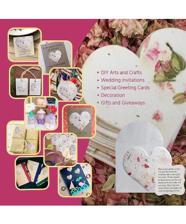 Seed Bloom 24-Piece Handmade Wildflower Seed Paper Gift Set | Recycled Seeded Paper Tags & Cards | Stationery & Gift Wrap Supplies with Hearts Envelope & Planting Guide - Buy Online on SooperMarket.com