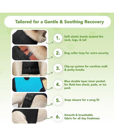 Suitical Recovery Suit for Extra Large Dogs - Black XL - Buy Online on SooperMarket.com