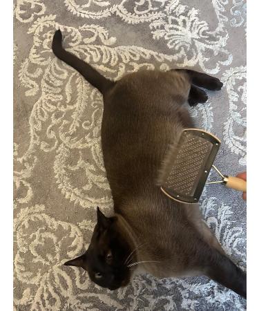 Premium Lambskin Brush for Gentle Care Perfect for Lambskin Fabrics | International Shipping - Buy Online on SooperMarket.com