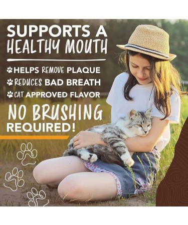 TropiClean Enticers Teeth Cleaning Gel for Cats - Honey Marinated Chicken Flavor 2oz - Dental Gel - Helps Remove The Source of Bad Breath and Plaque- Flavor Cats Love - No Brushing Honey Marinated Chicken 59 g (Pack of 1) Cats - Buy Online on SooperMarket.com