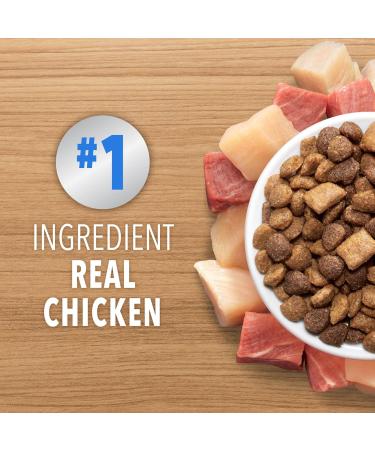 IAMS PROACTIVE HEALTH HEALTHY ENJOYMENT Adult Dry Cat Food Chicken & Beef Recipe 1.36kg Bag 1.36 kg (Pack of 1) - Buy Online on SooperMarket.com