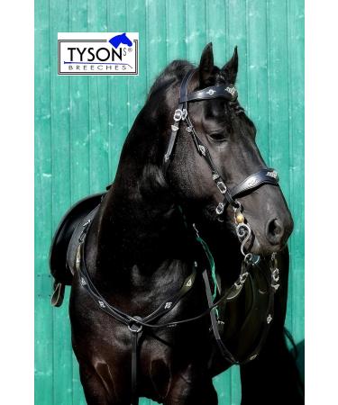 Jose Breastplate Show - Premium Portuguese Spanish Black & Brown Calfblood for VB WB XF XXF - XFULL Black - Buy Online on SooperMarket.com