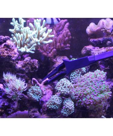 AquaticHI 27 inch Aquarium Tongs - 100% Reef Safe | Multi Purpose Fresh and Saltwater Fish Tank Tool for Clip Plants, Spot Feed Fish and Coral | Keep Hands Dry - Buy Online on SooperMarket.com