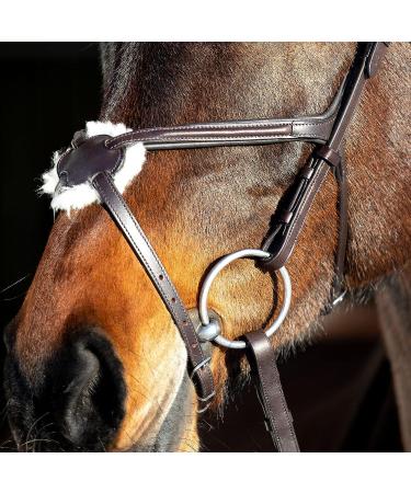 HORZE Prescott Figure 8 Bridle - Brown, Horse Size - Buy Online on SooperMarket.com
