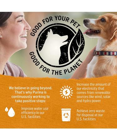 Purina Beyond Grain Free Wet Dog Food in Gravy - Chicken & Sweet Potato, 12.5 oz Cans (12-Pack) - Buy Online on SooperMarket.com