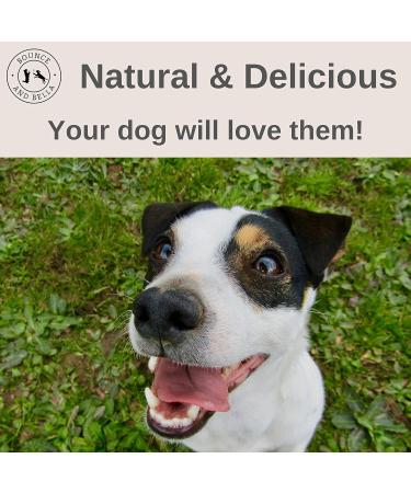 Bounce and Bella Pig Ears Strips for Dogs Natural Dog Chews Healthy Treats Help Clean Dogs Teeth 150 g (Pack of 1) - Buy Online on SooperMarket.com