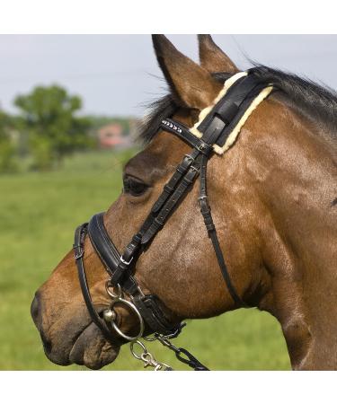 Buy Werner Christ Tournament Genickschoner - Premium Lambskin Horse Neck Protection | Real Fur Halter & Bridle Black Sheepskin One Size (32 cm) - Buy Online on SooperMarket.com