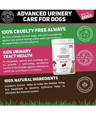 Dog Urinary Health Supplements 60 Soft Chews | Antibiotic Remedy | Stimulates Immune System & Maintains Overall Health | Cranberry & Echinacea | Wheat Free | Veterinarian Formulated Dog Urinary Care - Buy Online on SooperMarket.com