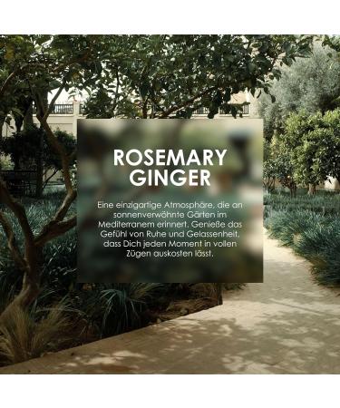 Jean & Len Antioxidant Sugar Scrub - Rosemary & Ginger | Paraben-Free Silicone-Free 200ml | Fragrant Exfoliating Experience - Buy Online on SooperMarket.com