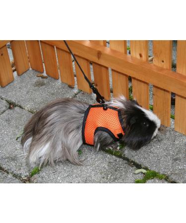 Shop Kerbl Rabbit Harness with Flexible Leash - Adjustable 22-26 cm Neck & 33-43 cm Belly | International Shipping Available - Buy Online on SooperMarket.com