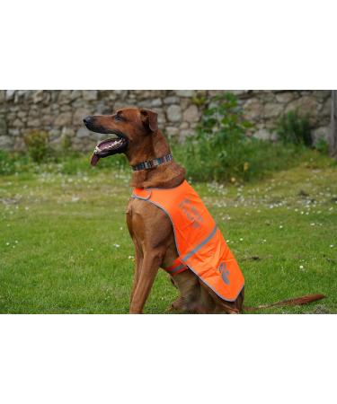 4Legriend Dogs Security Vest - High Visibility Blaze Orange (Large) for Outdoor Safety | 5 Sizes Available - Protect Your Dog Day and Night - Buy Online on SooperMarket.com