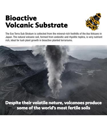 Exo Terra Bioactive Vulcan Substrate 4kg - Premium Terrarium Sub Stratum for Clean & Healthy Habitats - Buy Online on SooperMarket.com