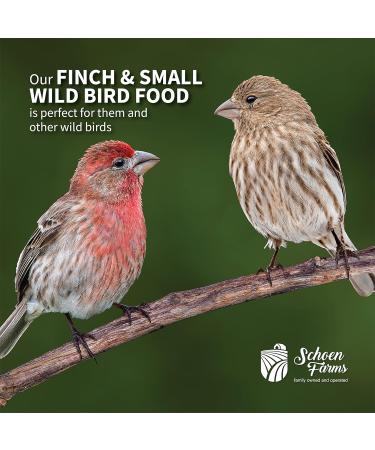 Schoen Farms Finch and Small Wild Bird Seed Food Mix (5 LBS) - Buy Online on SooperMarket.com