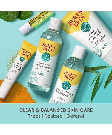 Burt's Bees Foaming BHA Face Wash - Breakout Defense Cleanser 8 Oz - Buy Online on SooperMarket.com