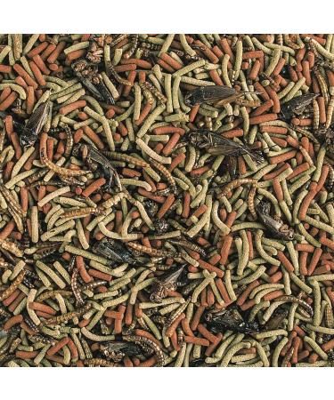 Tropical Reptiles Carnivore Soft Line - 260 g - Buy Online on SooperMarket.com