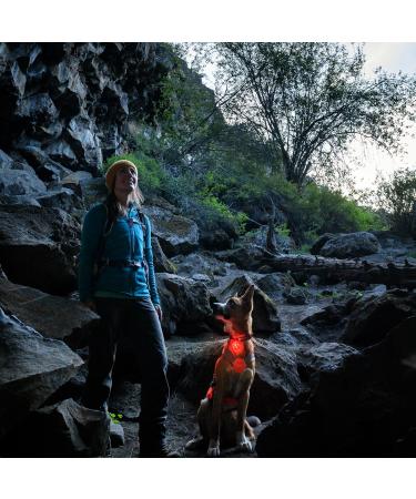 RUFFWEAR The Beacon LED Dog Safety Light | Waterproof & Rechargeable | Clip-On Night Light for Dog Collars and Harnesses - Buy Online on SooperMarket.com