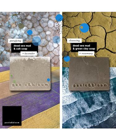 Fixed Shower Gel for Men - 4 Pack Natural Soaps with Dead Sea Mud & Green Tonerde | Bath & Body Essentials - Buy Online on SooperMarket.com