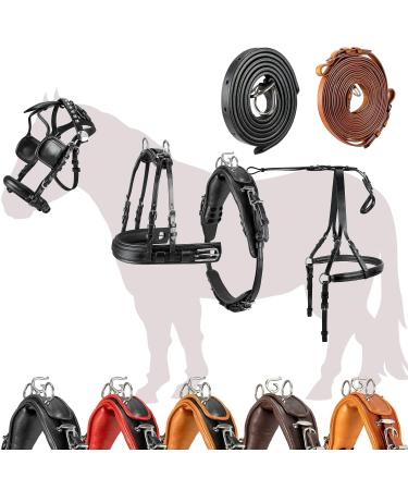 Esposita single -chipping "Professional" carriage dishes for Shetty pony and horse dishes for Minishetty to XL cold blood Routing dishes for single -bridle Mini Shetty Black