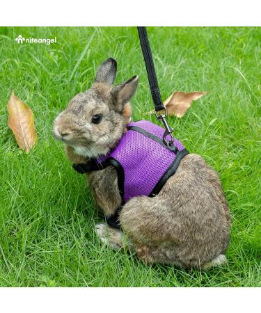 Niteangel Adjustable Soft Harness for Rabbit (L Purple) - Elastic Leash Included | Shop Internationally - Buy Online on SooperMarket.com