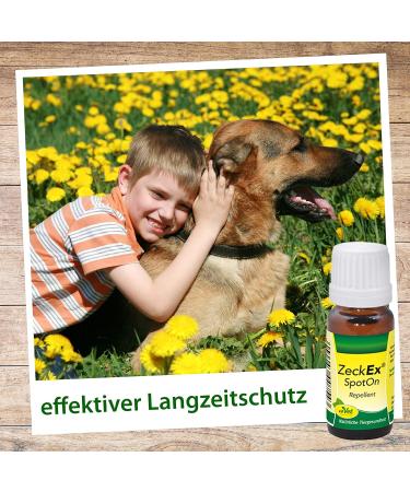 CDVet Zeckex Spoton 50 ml - Effective Flea & Tick Treatment for Dogs & Cats | Fast International Shipping - Buy Online on SooperMarket.com