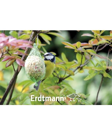 Erdtmanns 20 Fat Balls - 1.6 kg Polybag for Wild Birds | Premium Bird Feed - International Shipping - Buy Online on SooperMarket.com