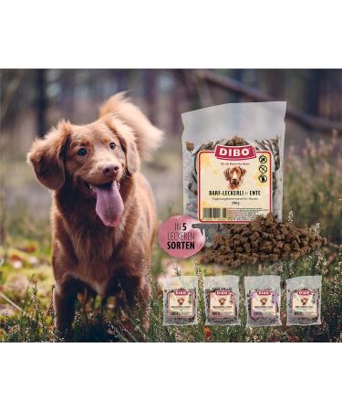 Buy Dibo Barf Treats for Dogs - 200g Wild Lamb & Duck Snacks - Sugar-Free & Healthy Training Treats - Buy Online on SooperMarket.com
