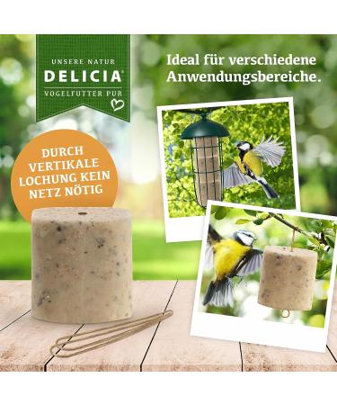 DELICIA Premium Insect Bird Balls - 6 Pack for Garden & Wild Birds | Meisen Dumplings with Hangers - High-Quality Bird Feed - Buy Online on SooperMarket.com