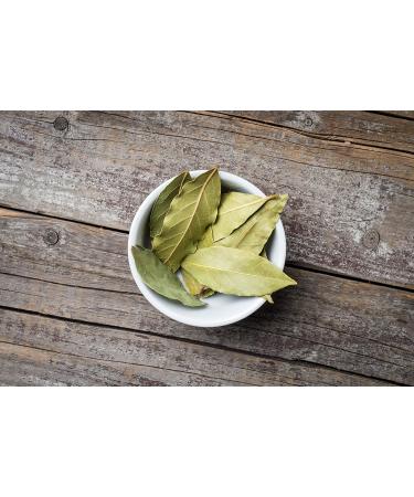 Club House Quality Natural Herbs & Spices Organic Rosemary Leaves 14g 14 g (Pack of 1) - Buy Online on SooperMarket.com