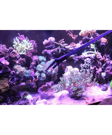 AquaticHI 27 inch Aquarium Tongs - 100% Reef Safe | Multi Purpose Fresh and Saltwater Fish Tank Tool for Clip Plants, Spot Feed Fish and Coral | Keep Hands Dry - Buy Online on SooperMarket.com