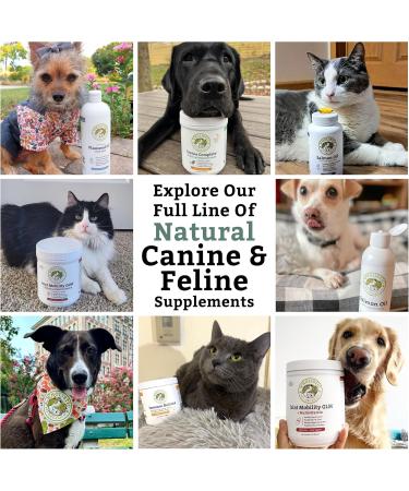 Organic Wholistic Pet Bovine Colostrum Powder for Dogs & Cats | Allergy Relief, Gut Health, Immune Support | High Antibody Levels | Puppies & Adult Dogs/Cats - Buy Online on SooperMarket.com