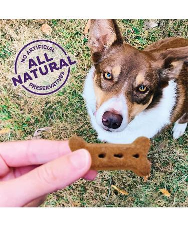 Old Mother Hubbard P-Nuttier Peanut Butter Dog Treats - All Natural, Crunchy, Healthy Snacks for Small Dogs - Buy Online on SooperMarket.com