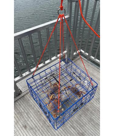 AirFly 4 Arm Harness Crab Trap Combo | 304 Stainless Steel Hooks & Buoy Float - Buy Online on SooperMarket.com