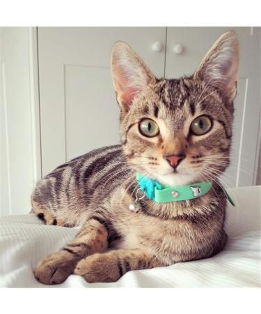 Kittyrama Cats & Kittens Neck Bands - Vet Approved Breakaway Hypoallergenic - As Seen in Vogue | Shop Stylish & Comfortable Designs - Buy Online on SooperMarket.com