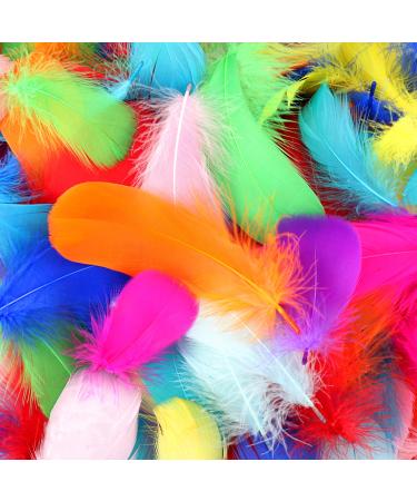 HaiMay 450 Pieces Colorful Feathers for Craft Wedding Home Party Decorations  3-5 Inches 10 Colors Craft Feathers