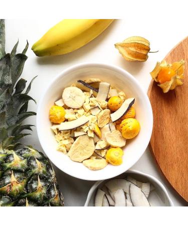 Buy MyFruits Dried Coconut Chips 150g - 100% Natural Coconut Strips | Healthy Snack | International Shipping - Buy Online on SooperMarket.com