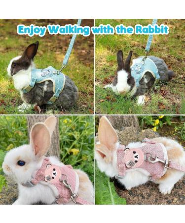 3-Piece Adjustable Rabbit & Cat Leash Set | Durable 120cm Leash & Cat Dishes for Dwarf Rabbits | Ideal for Cats & Small Pets (1-3kg) - Buy Online on SooperMarket.com