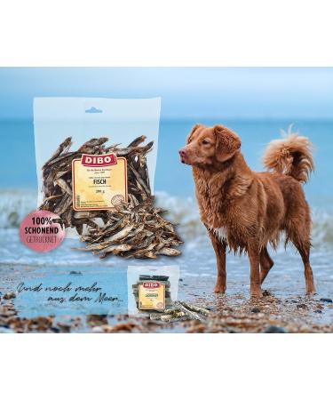 DIBO Fish Dog Treats - 200g Snacks for Dogs | Healthy In-Between Meal Options | International Shipping Available - Buy Online on SooperMarket.com