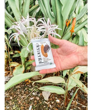 Elemental Superfood Dark Chocolate Almond Butter Seedbars - 12 Pack, 1.8 oz, Non-GMO, Organic, Gluten-Free, Dairy-Free, Plant Based - Buy Online on SooperMarket.com