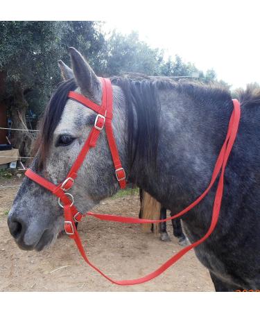 JF-Reitsport Bitless Pony Bridle Set - Nylon with Reins in Navy | Premium Equestrian Gear for International Shipping - Buy Online on SooperMarket.com