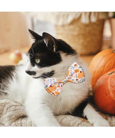 Fall Bow Tie Pumpkin Cat Collar Set with Bell | Autumn Thanksgiving Harvest Holiday Collar for Cats | Pumpkin Patch Design for Boys and Girls - Buy Online on SooperMarket.com