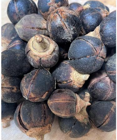 GORONTULA Fruit Azanza Garckeana Organic Sweet Silky Snot Apple Kayamata Various sizes12 Pieces - Buy Online on SooperMarket.com